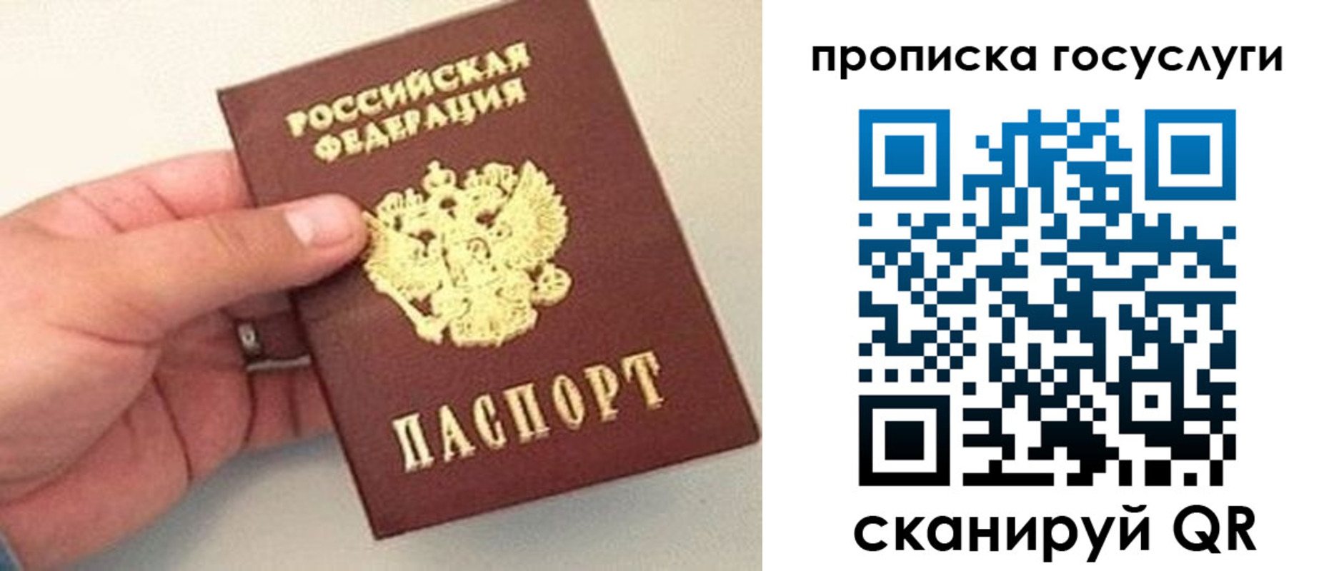 где прописаться в Оленегорске